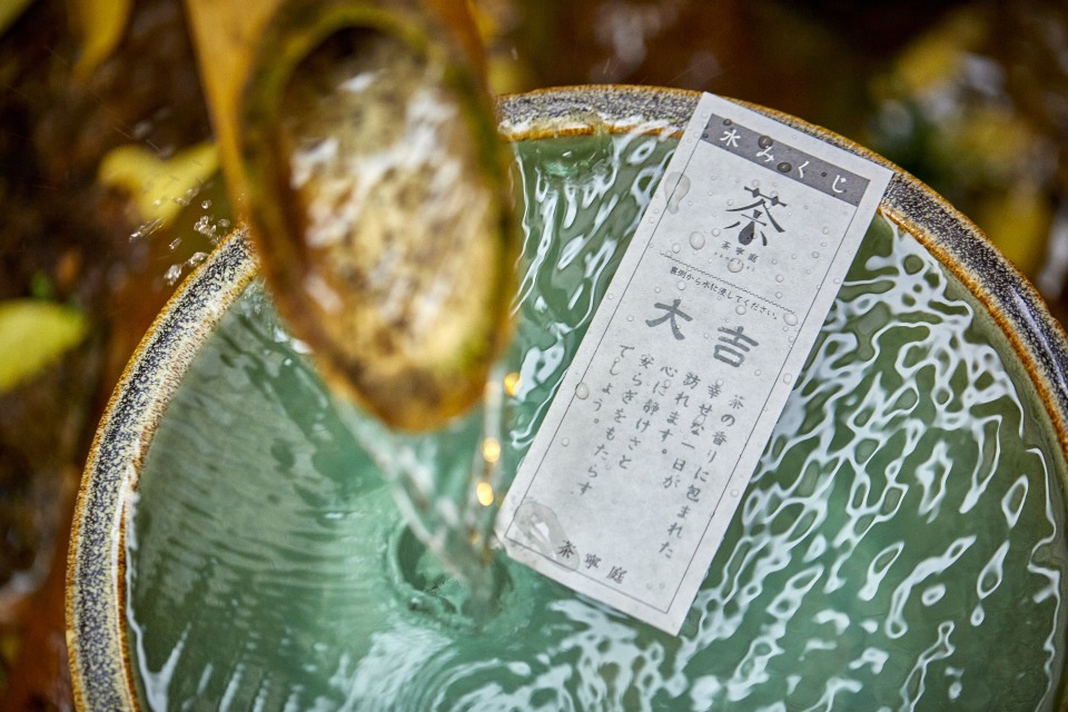 茶寧庭