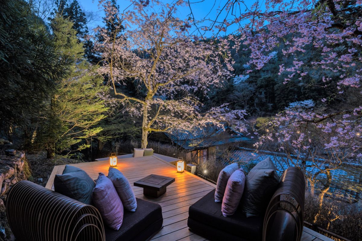 ライトアップされた桜花テラス