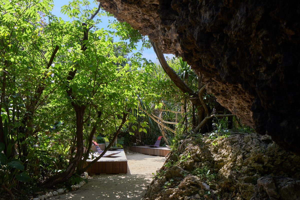 ジャングルのような岩場のカフェ