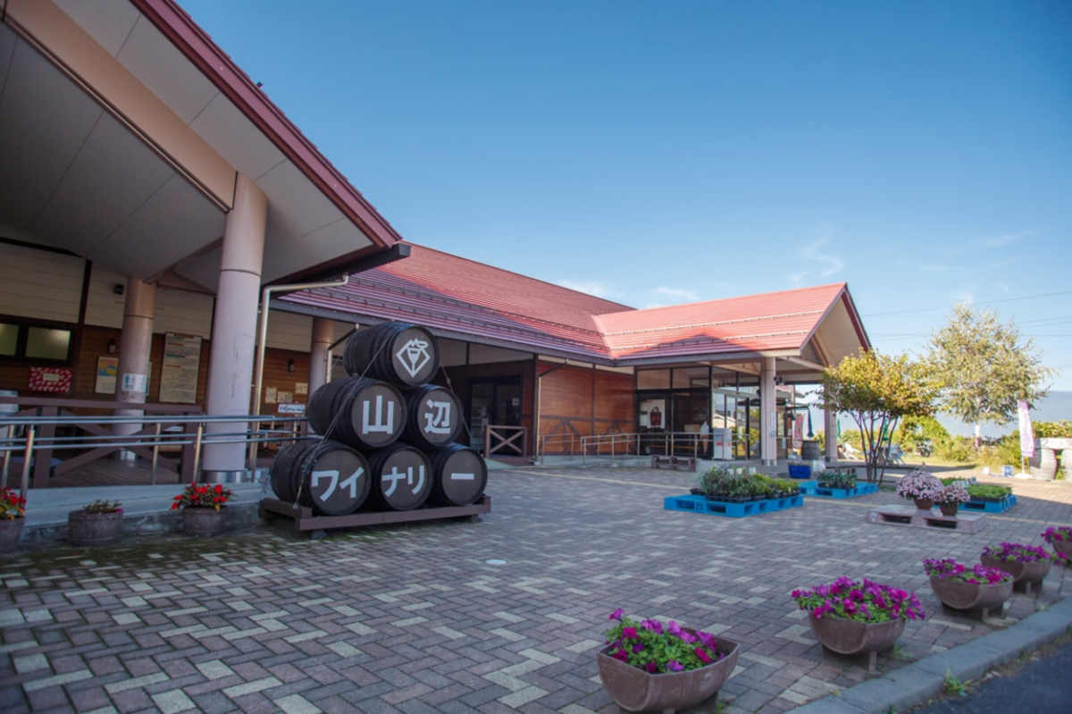 訪問先の1つ「山辺ワイナリー」