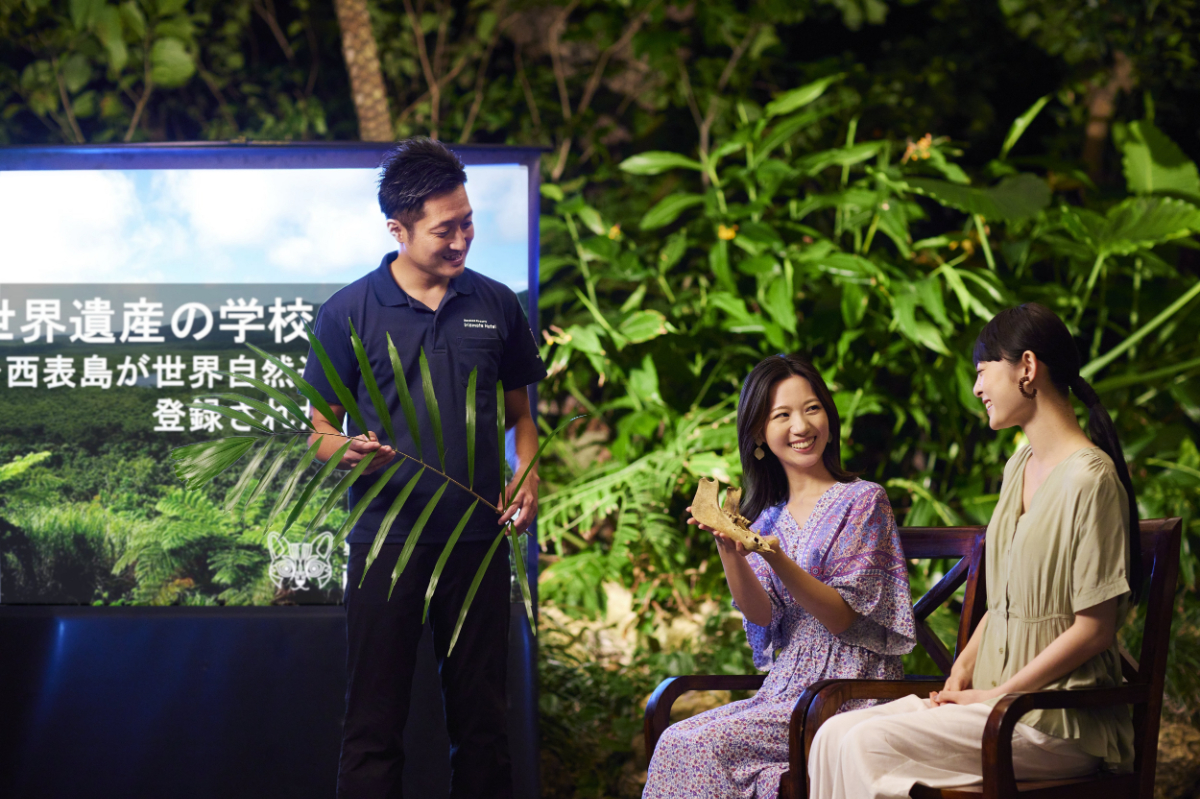 世界遺産の学校でホタルの生態を学べる