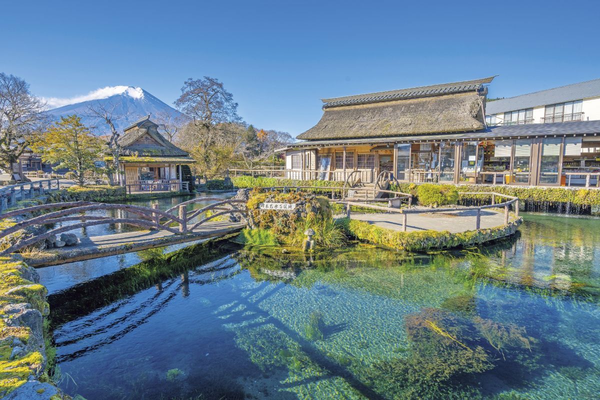 清らかな湧水で知られる忍野八海 （写真は湧池近くの中池）