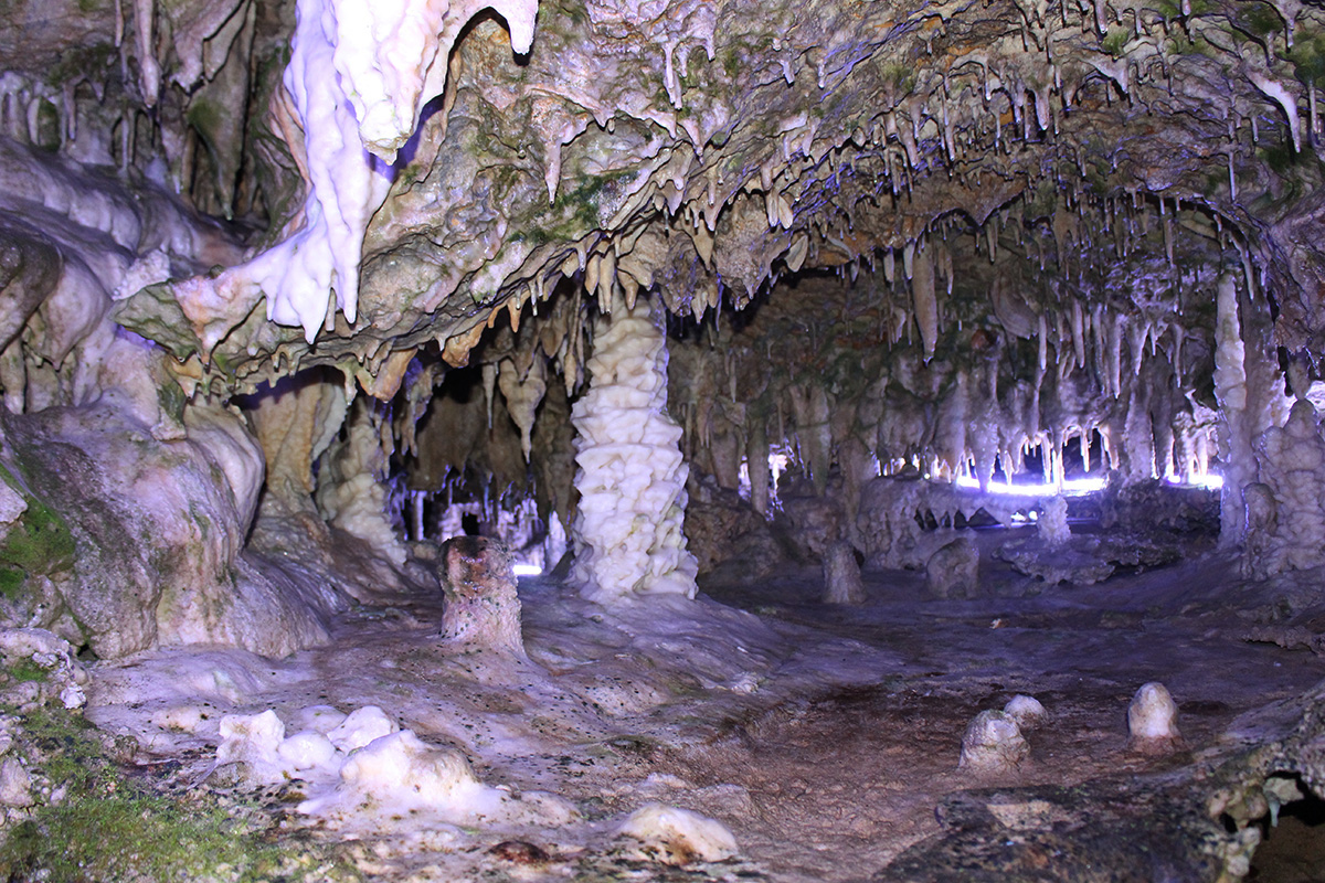 「ローマの遺跡」