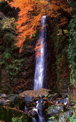 養老公園事務所