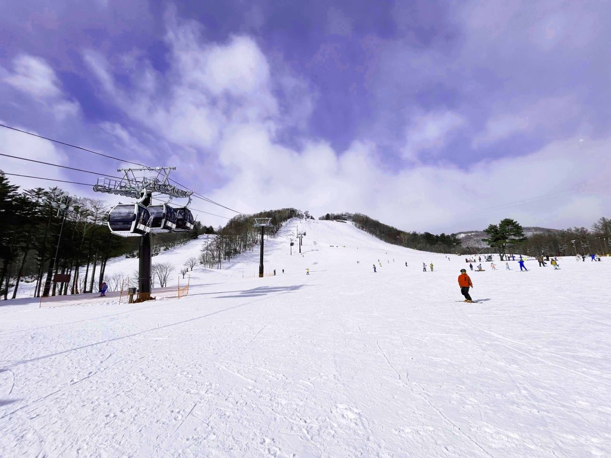 雪質がよく、さまざまなゲレンデがあって飽きることなく滑れる