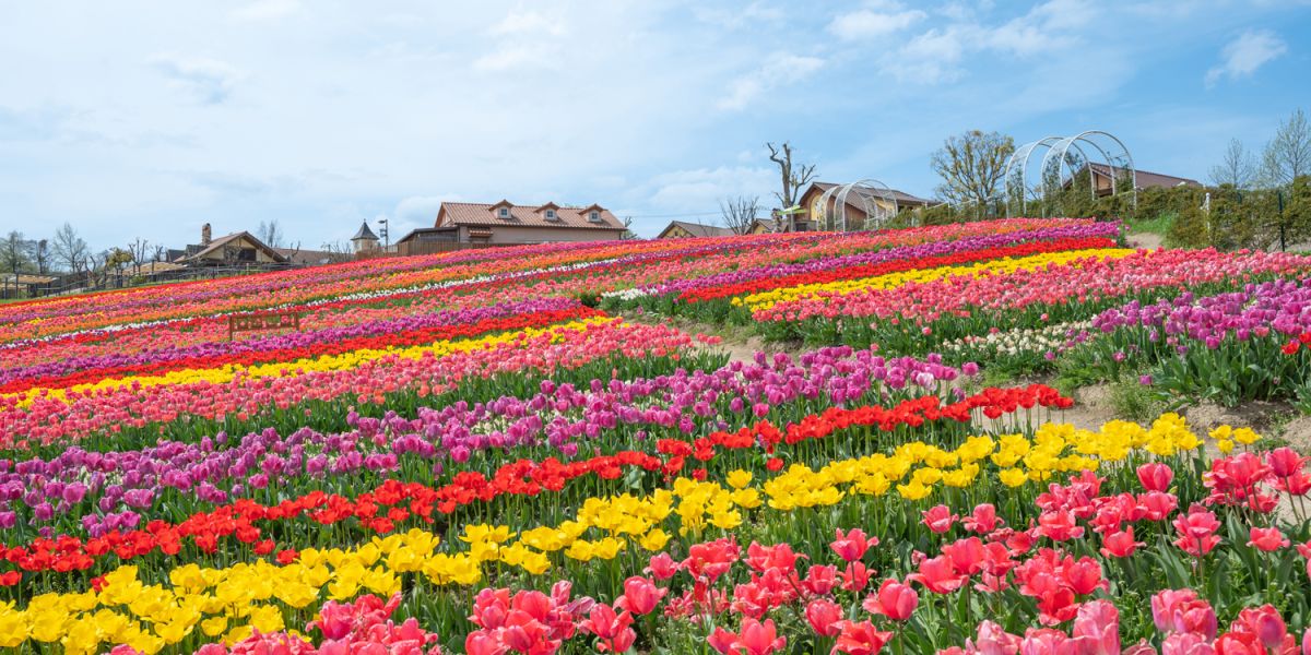 【大阪】知られざる絶景スポット4選｜グルメやテーマパークだけじゃない！大阪観光で訪れたいスポット