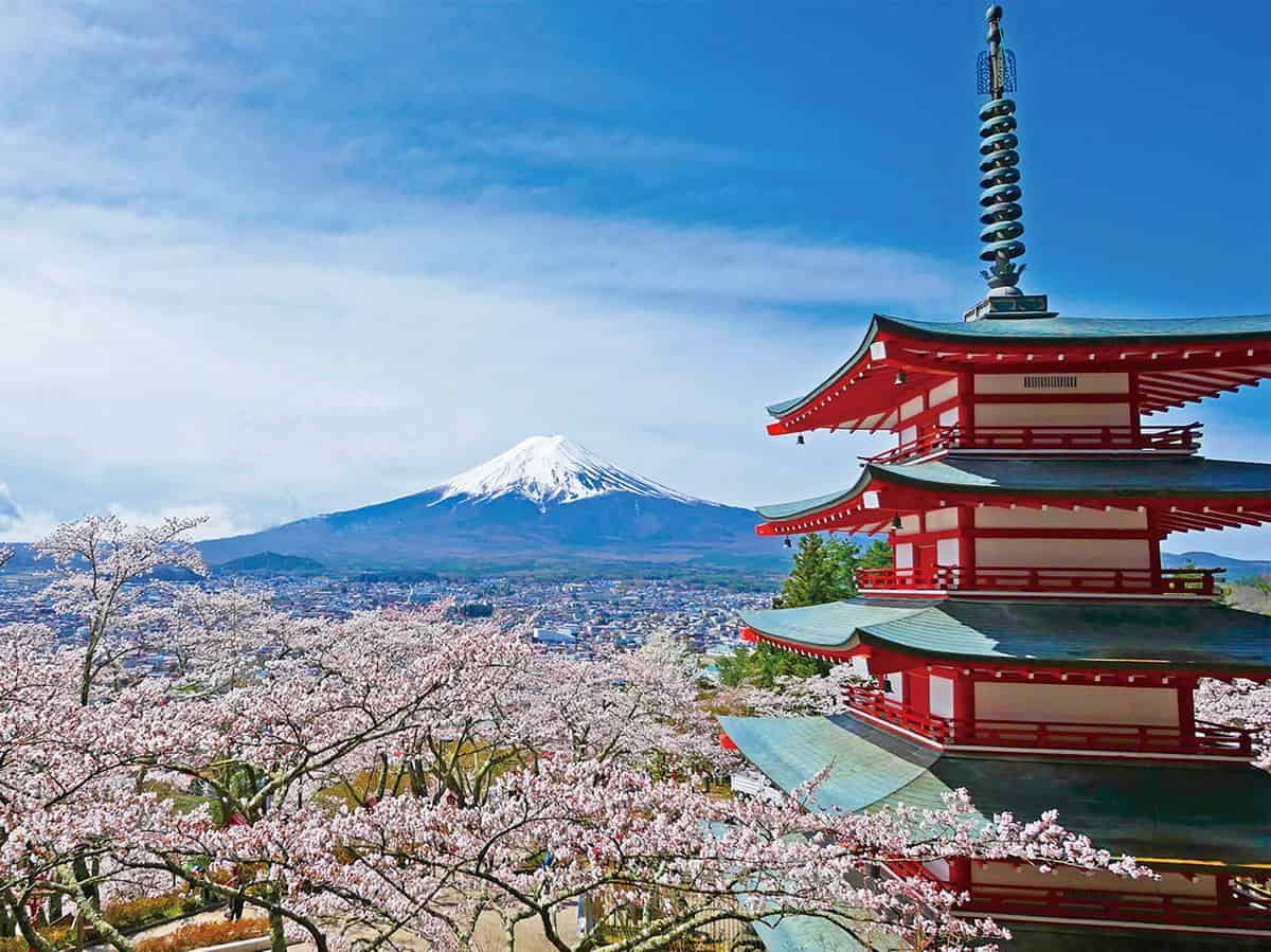 （一財）ふじよしだ観光振興サービス