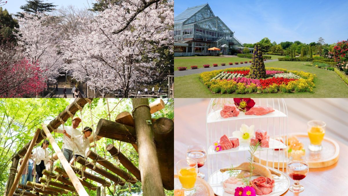 【千葉・野田市】自然体験にグルメと盛りだくさん！清水公園の楽しみ方をご紹介