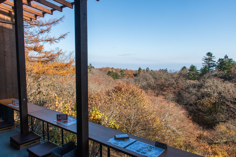 大自然を望むテラスのカウンター