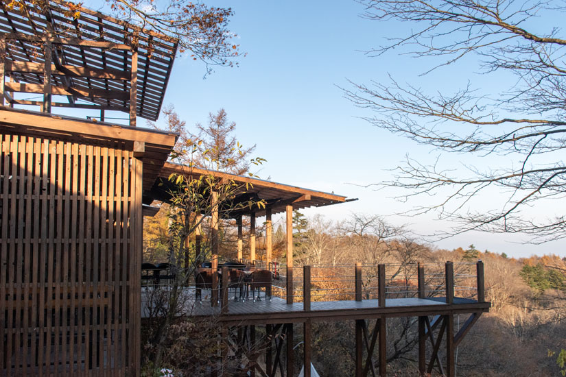 テラスのテーブル席と、森に迫り出すように作られた展望デッキ