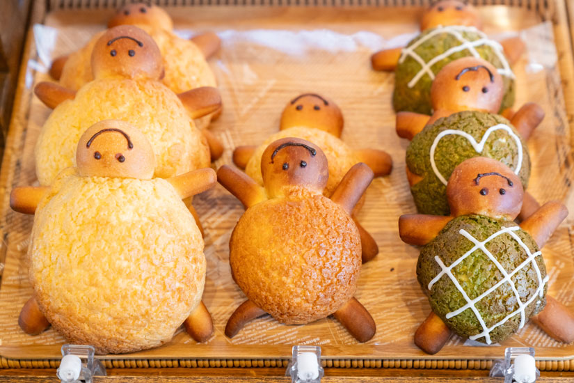 子どもに大人気!カメの形の「カメロンパン」