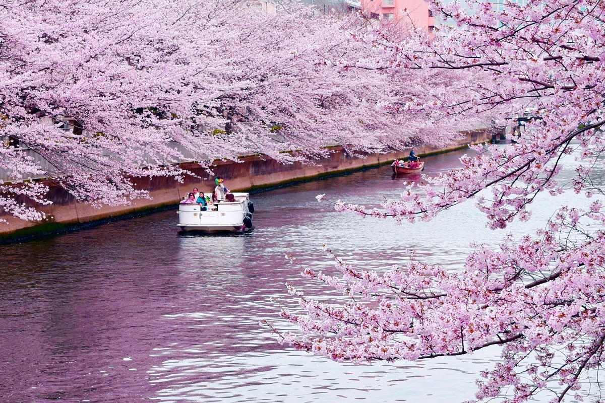 写真提供：エドベンチャークルーズ