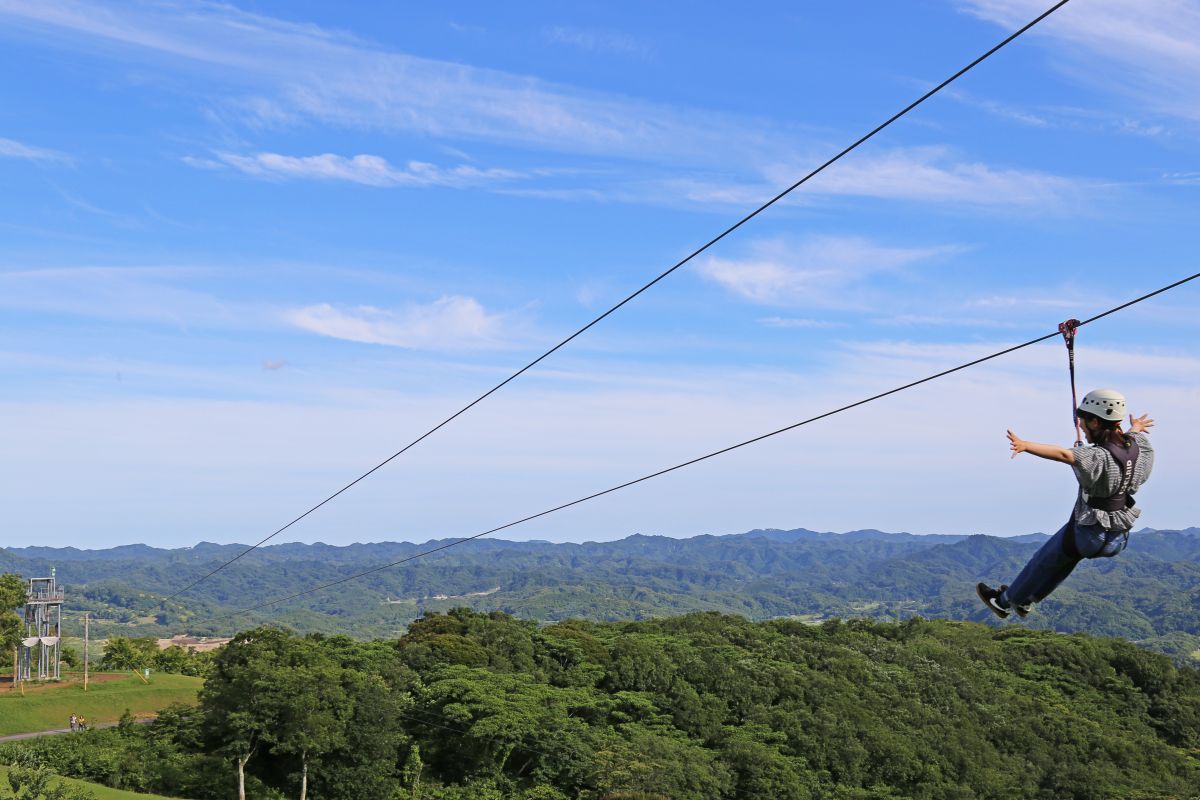 ファームジップで空中散歩