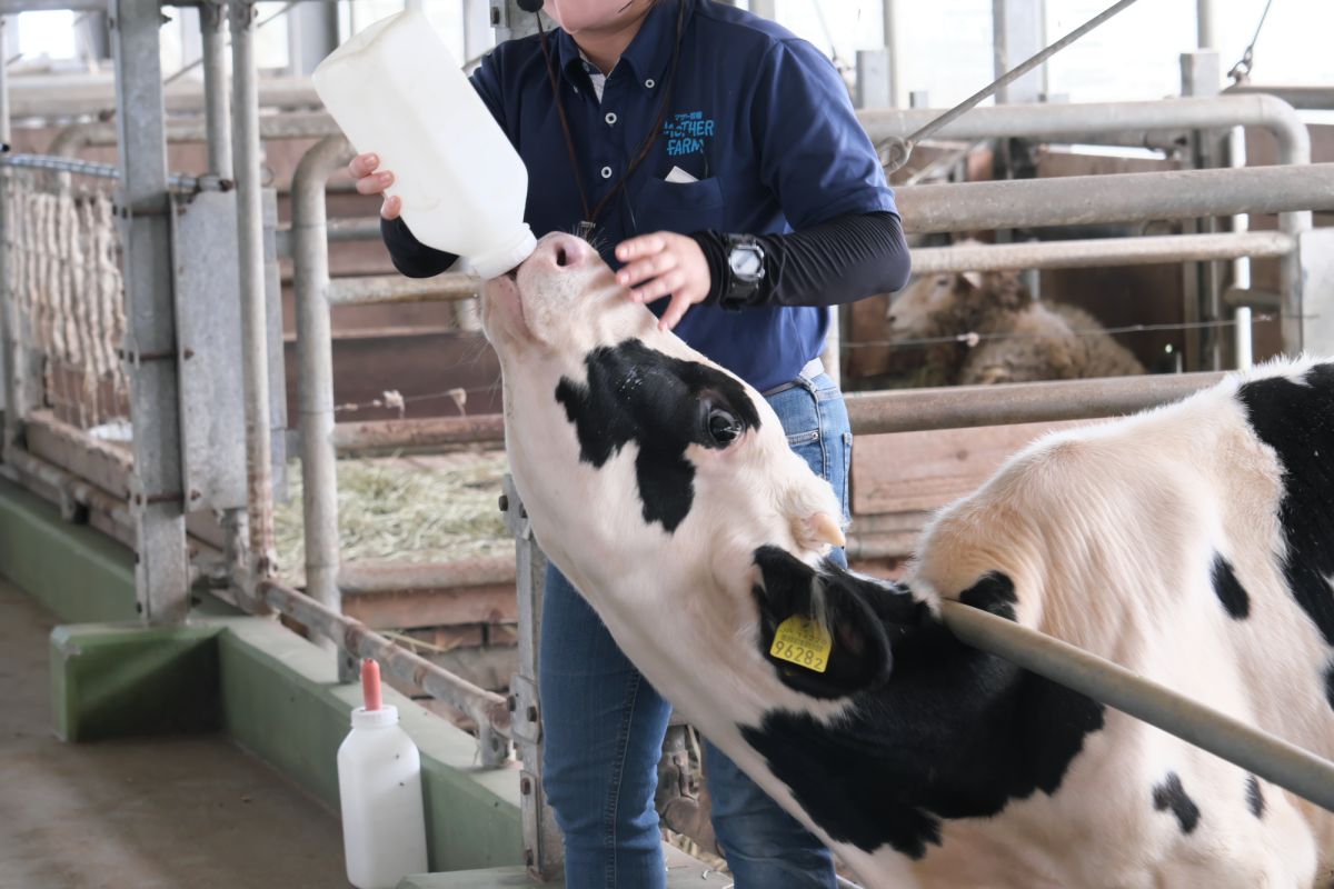 こんなに大きいけど赤ちゃんだそう