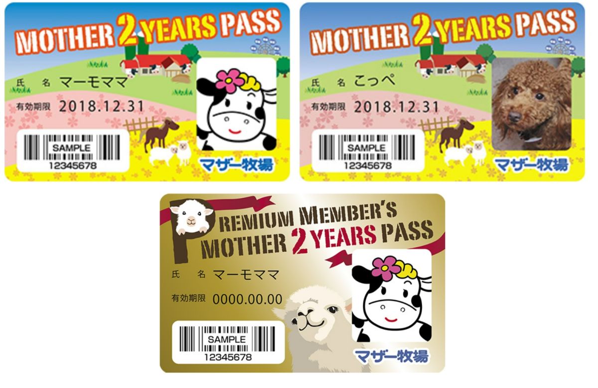 顔写真入りの2年間パスポート（上）。2年後に継続するとゴールドカードに！（下）