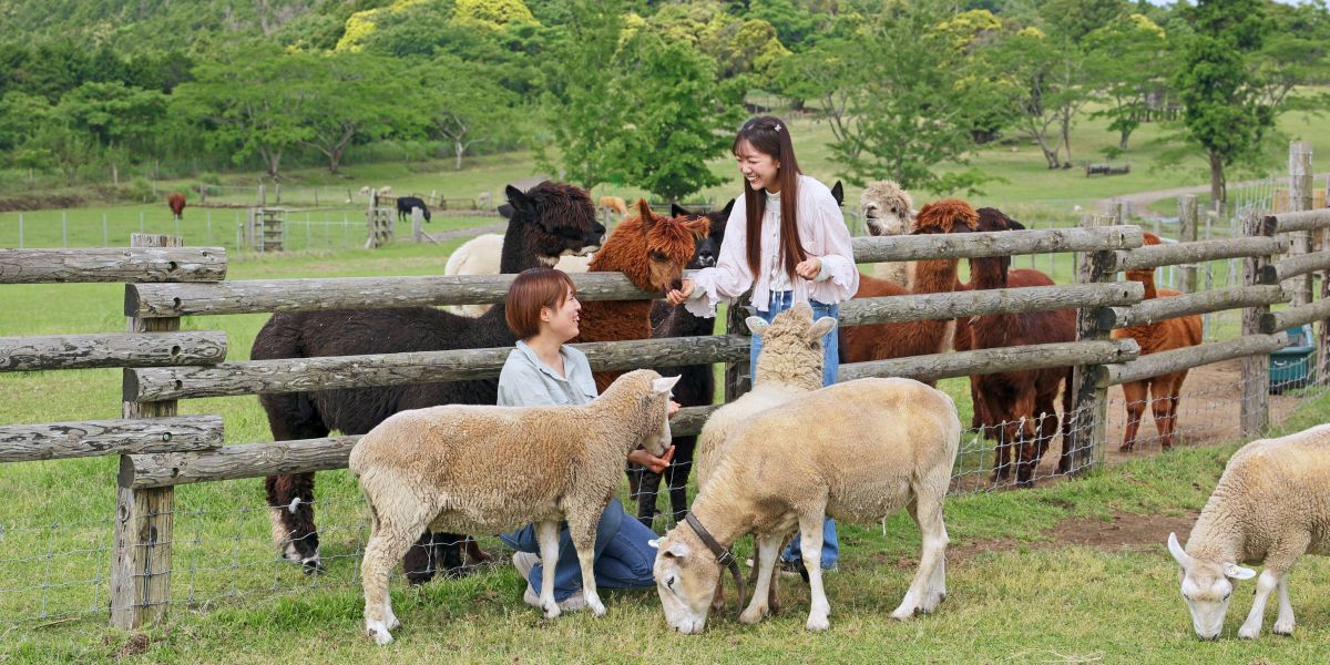 【千葉県の爽やかスポット】「マザー牧場」の楽しみ方