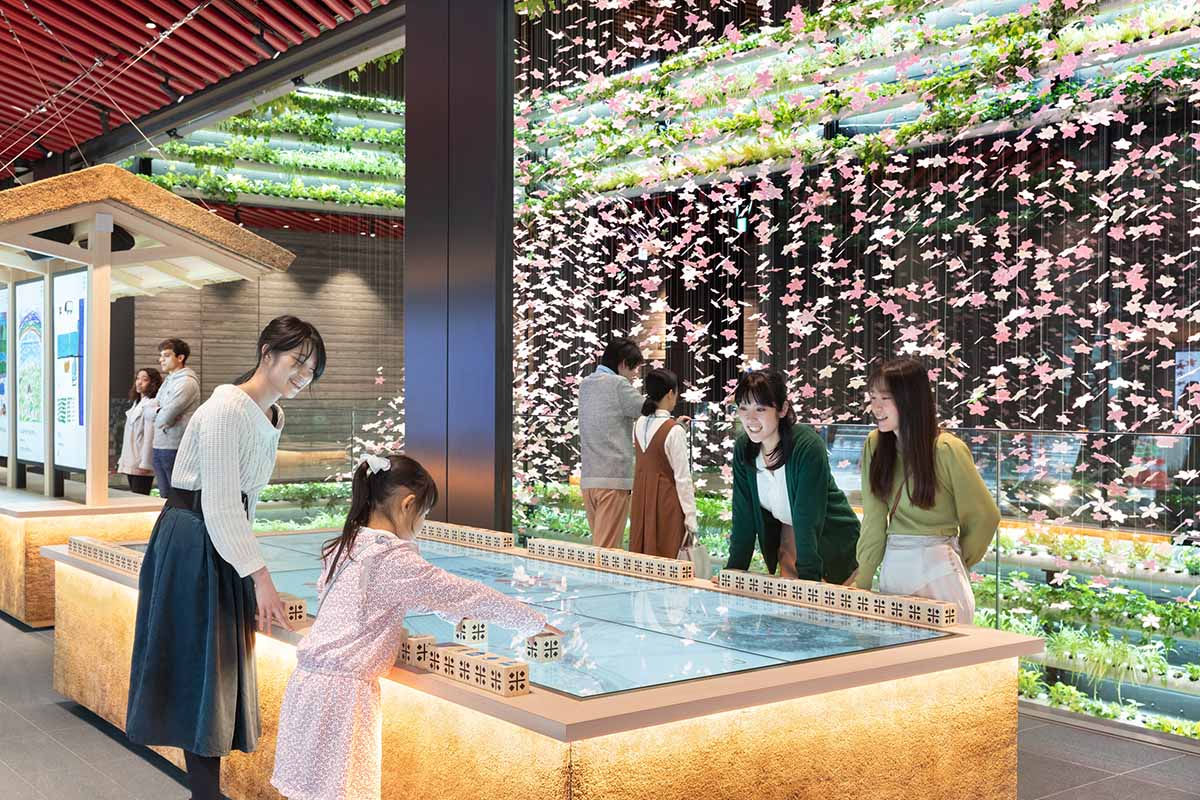 ヤンマー米ギャラリー