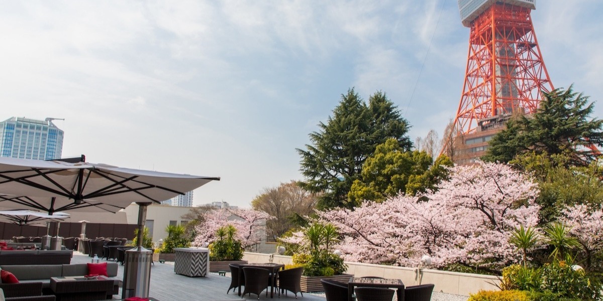 【2025最新】東京の桜イベント36選｜人気のお花見イベントから、桜のアフタヌーンティー＆フード、手土産におすすめの桜スイーツまで