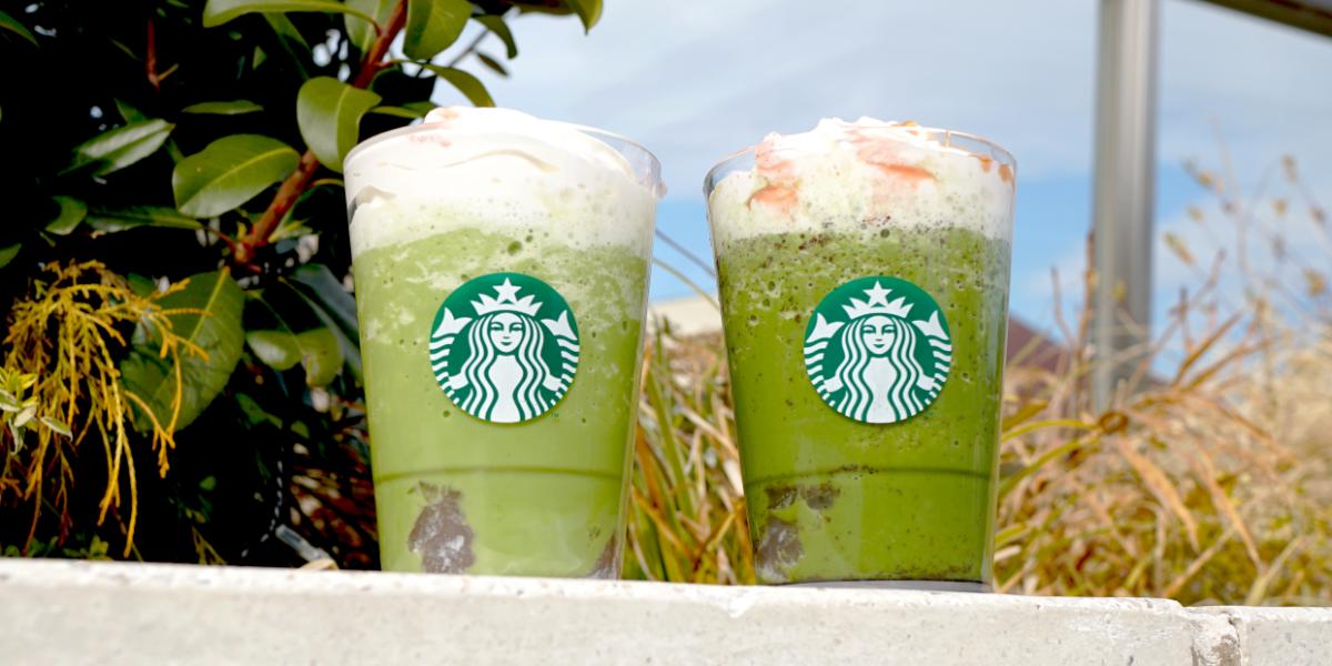 【スタバ新作2025年2月】抹茶×桜！ SAKURA第2弾「抹茶と桜わらびもち フラペチーノ®」を実食レポート！ おすすめカスタムを徹底紹介