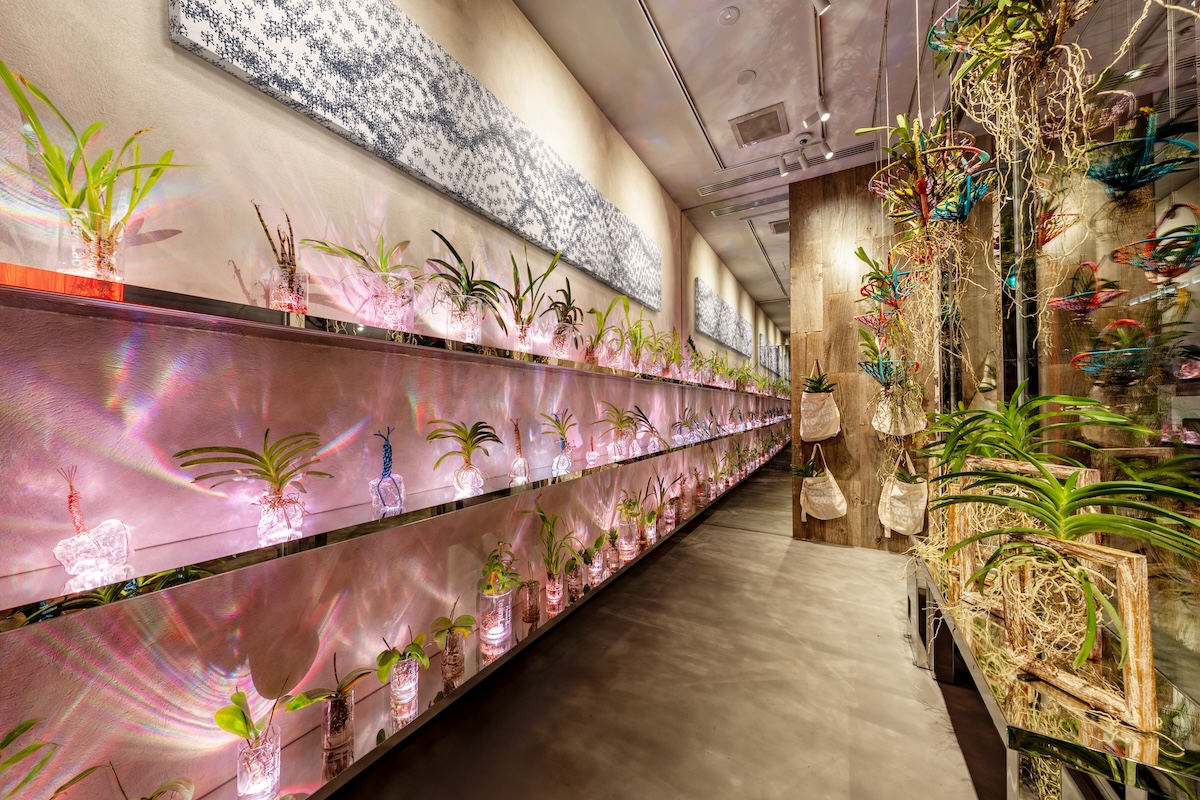 チームラボ「Living Art Store」©チームラボ