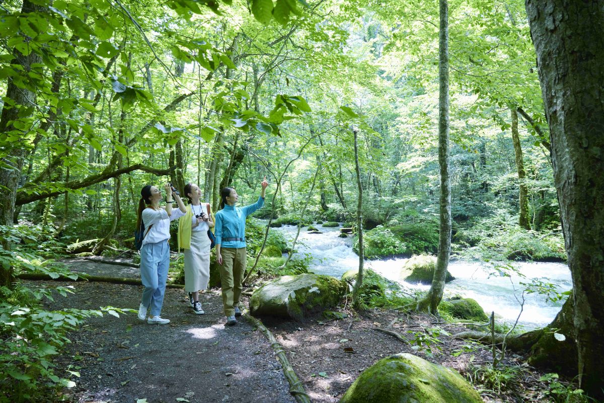 渓流ガイドウォーク　イメージ