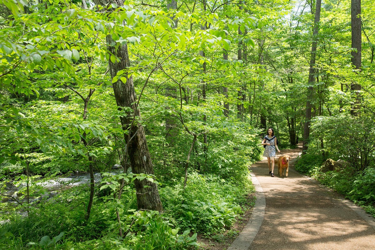 提供：BEB5 軽井沢 by 星野リゾート