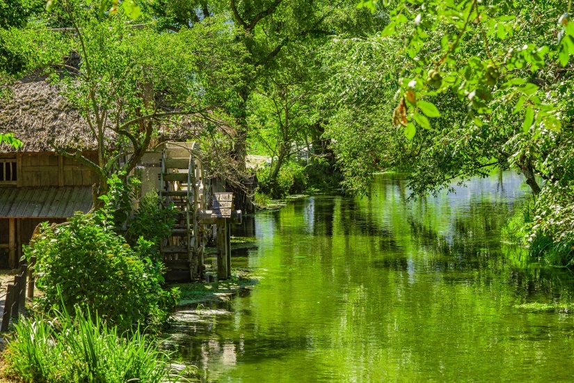 黒澤明監督の映画『夢』のロケ地としても知られる、「大王わさび農場」の水車小屋