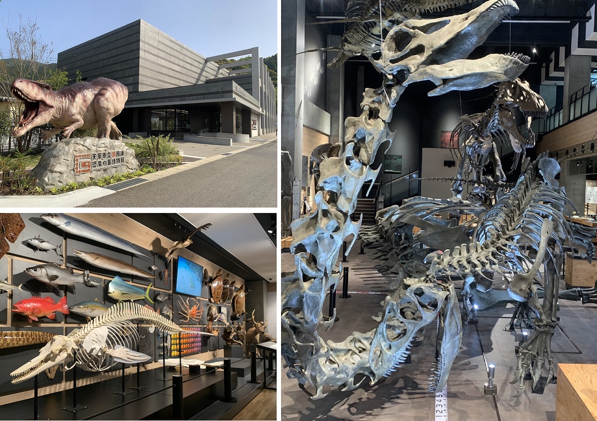 施設は令和6年3月20日にリニューアルオープンしたばかり