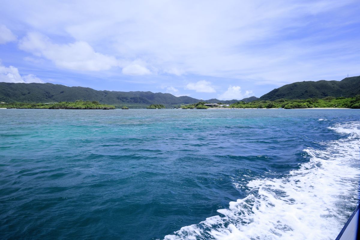 航行中のグラスボートからの眺め