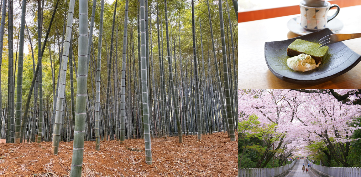 春の京都へおでかけ♪　自然もグルメも大満喫できる「竹の里・乙訓」で行ってみたいとこ6選