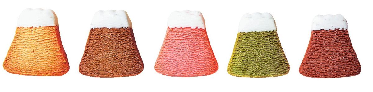 「FUJIYAMA COOKIE」プレーン1枚160円～