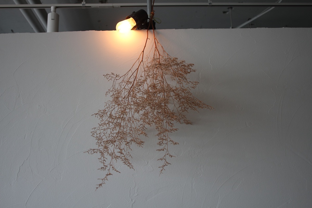 少し暗めの照明や、ドライフラワーなどインテリアもオシャレ