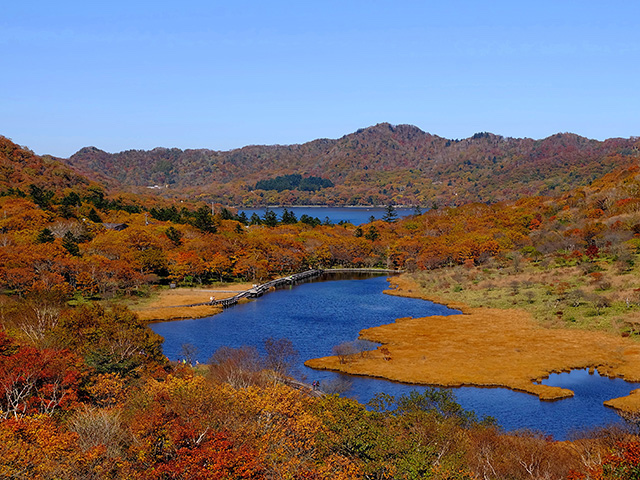 鳥居峠から眺める覚満淵