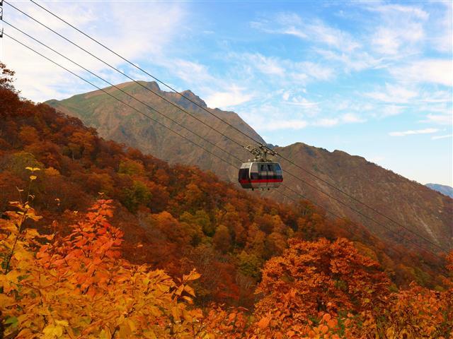ロープウェイで天神平に上がる途中の紅葉/みなかみ町観光協会
