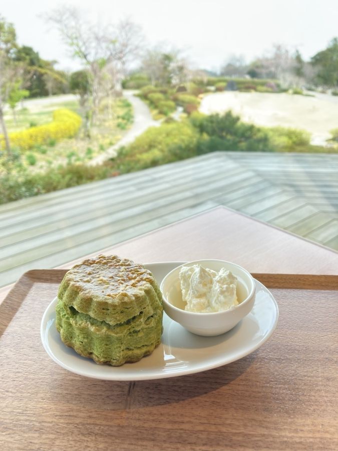 「抹茶スコーン（生クリーム添え）」400円