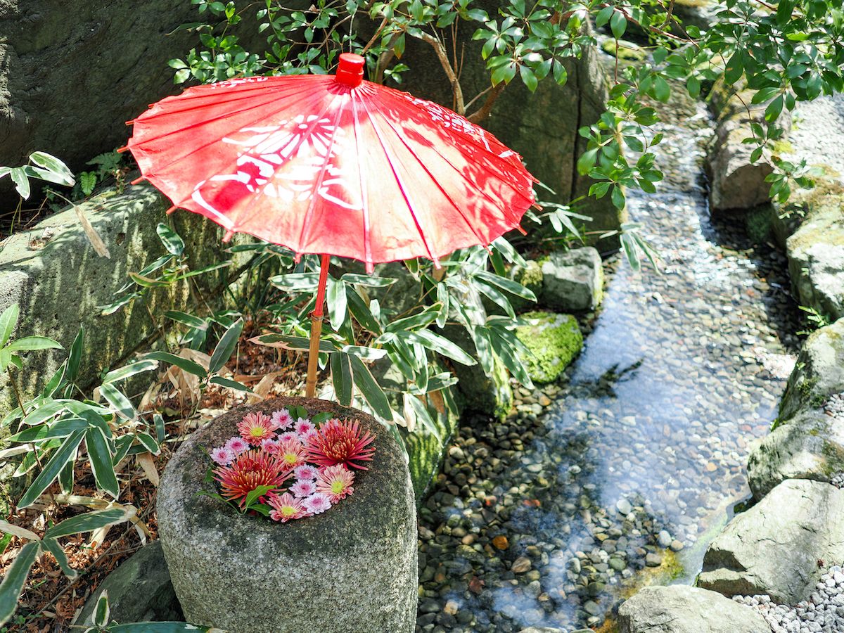 OM-3, OM 17mm F1.8 II, 1/800秒 F1.8 ISO 200 ©6151 コンピュテーショナル フォトグラフィ  手持ちハイレゾショット