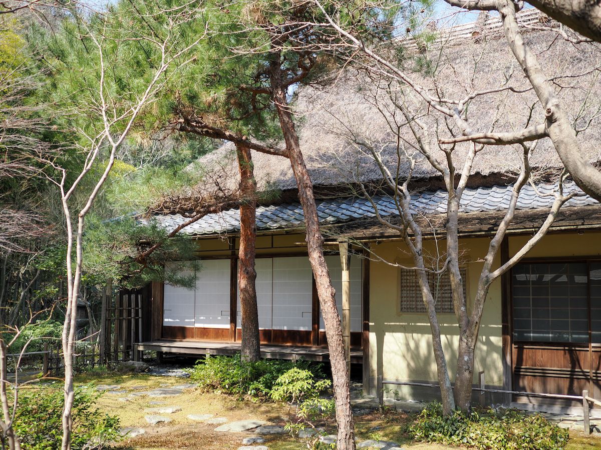 OM-3, OM 17mm F1.8 II, 1/1600秒 F2 ISO 200 ©6151 コンピュテーショナル フォトグラフィ 手持ちハイレゾショット