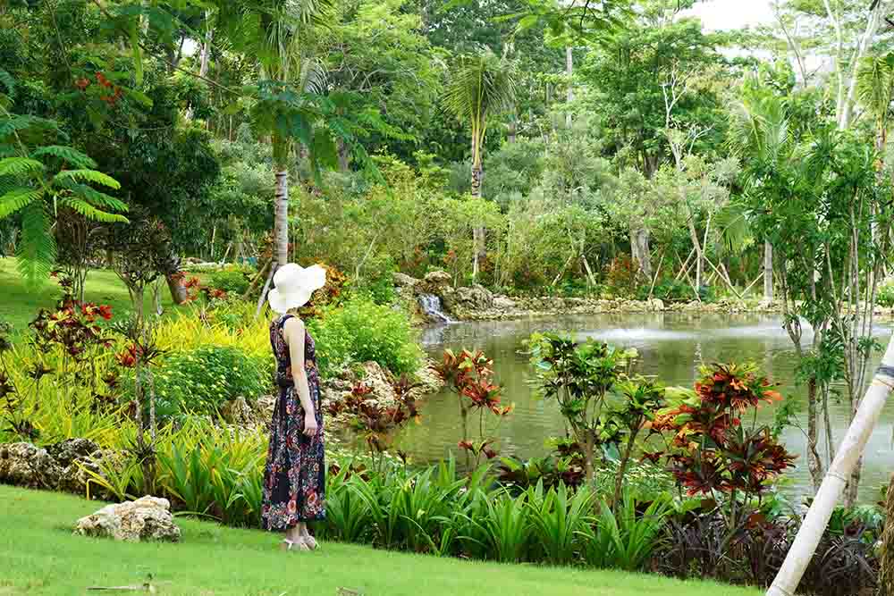 朝6時からオープンしているので、早朝ウォーキングも楽しい。南国の花々に囲まれた池の周りをのんびり散策