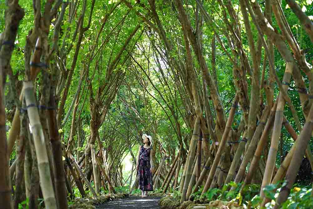バリ島では珍しい竹林のトンネルも