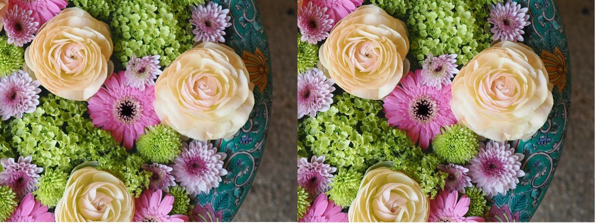 左:基本モード 右:手持ちハイレゾショット