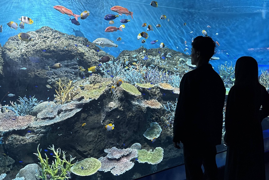 GWは「アクアワールド茨城県大洗水族館」へ！ サメだけじゃないみどころをご紹介