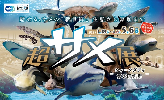 超サメ展