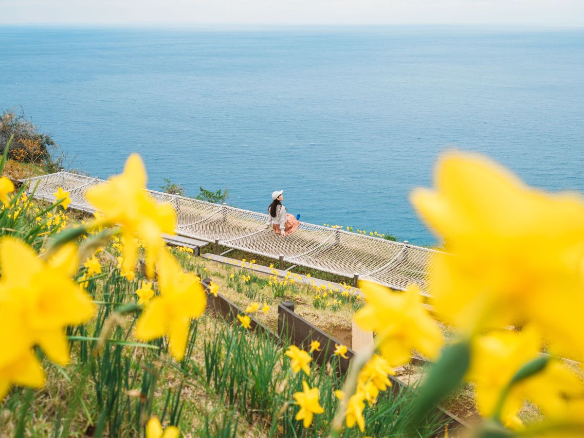  OM-3, M.ZUIKO DIGITAL 17mm F1.8 II, 1/2000秒 F1.8 ISO200 基本モード ©もろんのん
