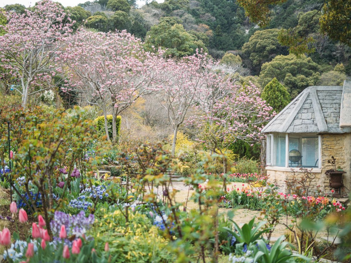 OM-3, M.ZUIKO DIGITAL 25mm F1.8 II, 1/4000秒 F1.8 ISO200 基本モード ©もろんのん