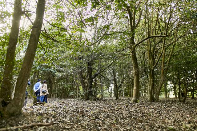 休暇村 讃岐五色台