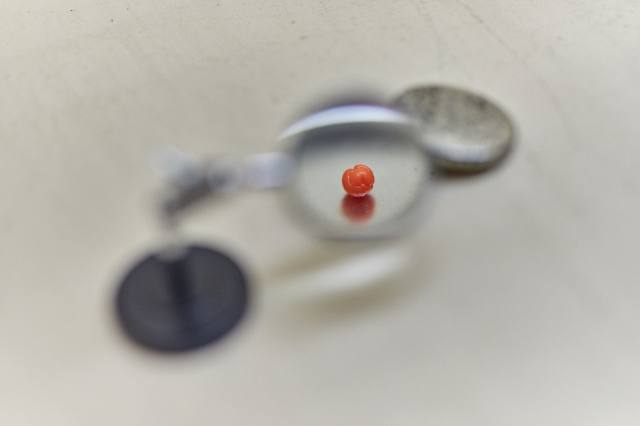 瀬戸内国際芸術祭2025