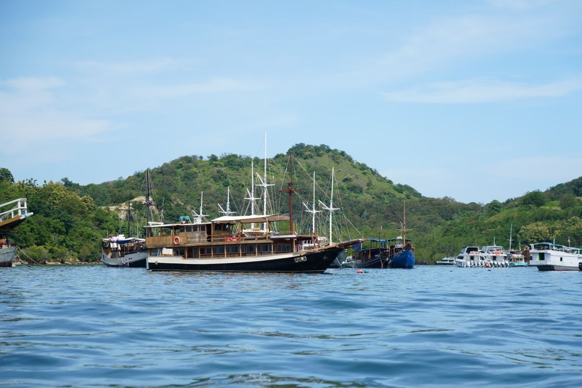 今回乗船したボートはこちら。二階建てで客室数も多い