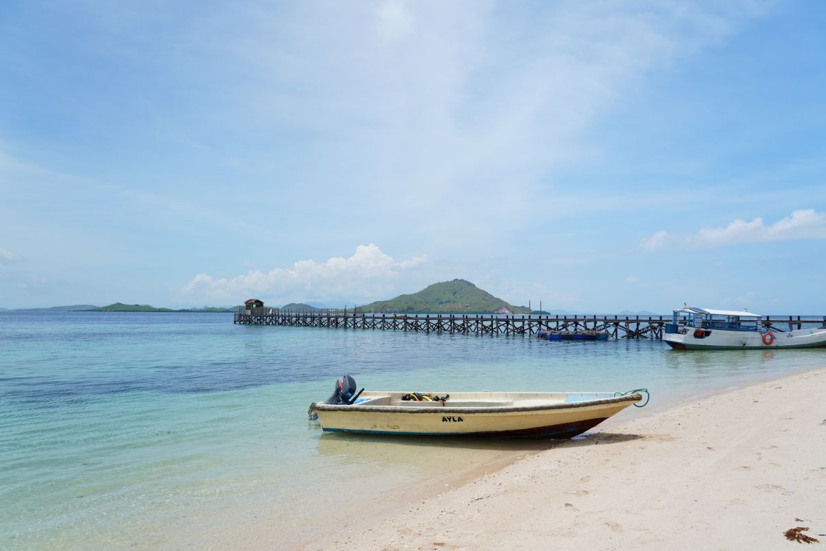 桟橋から海の底がくっきり見える、抜群の透明度!