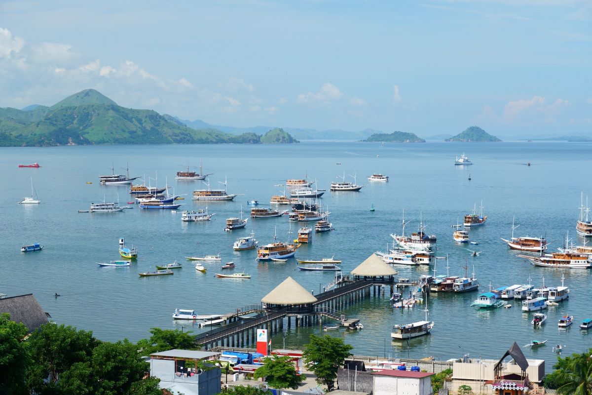 港にはたくさんの船が並び、旅のワクワクが高まる