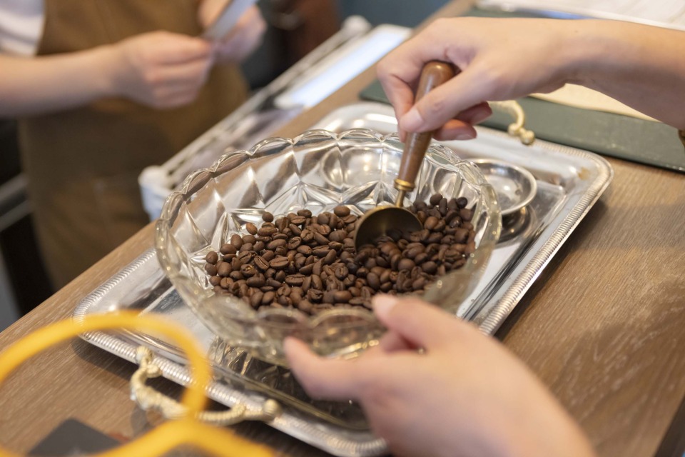 バイセンモクバ